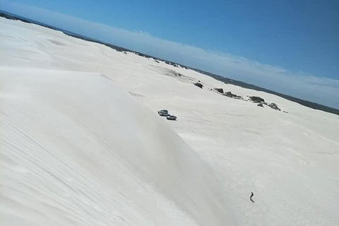Yanchep & Lancelin - Wildlife, Cave And Sands - Attractions Melbourne 3