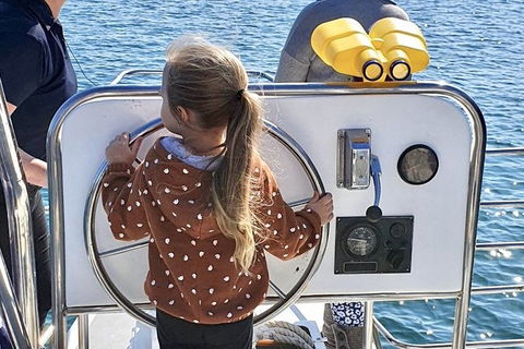 Mandurah Dolphin And Scenic Marine Cruise - Attractions Melbourne 10