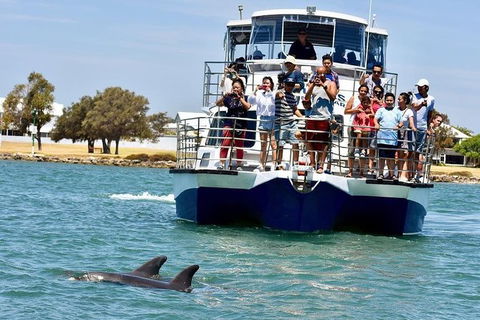 Mandurah Dolphin And Scenic Marine Cruise - Attractions Melbourne 2