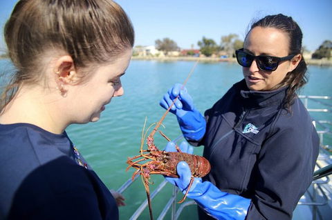 Mandurah Dolphin And Scenic Marine Cruise - Attractions Melbourne 8