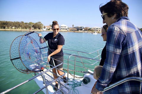 Mandurah Dolphin And Scenic Marine Cruise - Attractions Melbourne 16