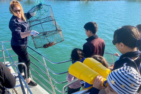Mandurah Dolphin And Scenic Marine Cruise - Attractions Melbourne 18