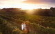 Leeuwin Estate: Food And Wine Experience - thumb 0