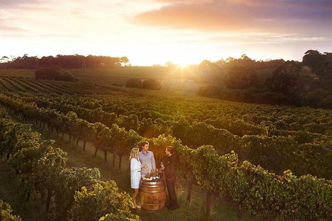Leeuwin Estate: Food And Wine Experience - Attractions Melbourne 0