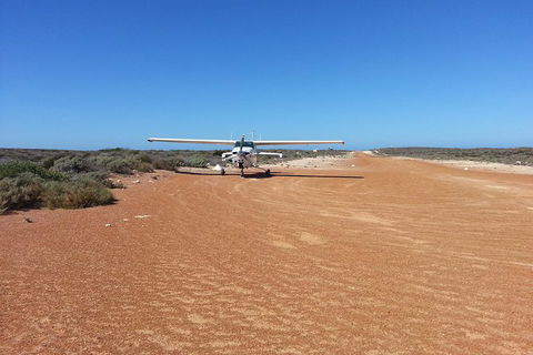 Abrolhos Islands Scenic Flight & Snorkel Adventure From Perth - Attractions Melbourne 6
