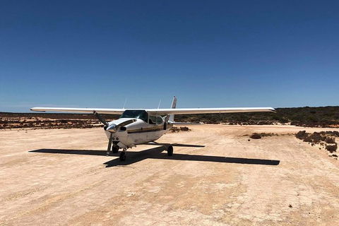 Kalbarri Gorges & West Coast - Ground & Air Tour - Attractions Melbourne 6