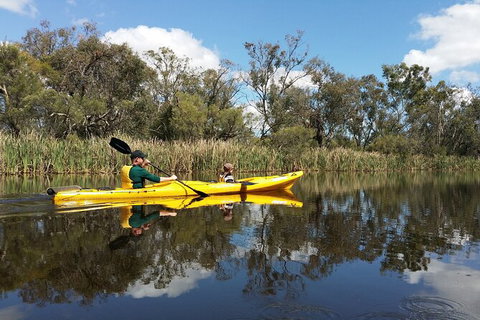 Kayak Tour On The Canning River - Attractions Melbourne 2