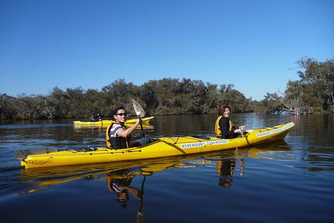 Kayak Tour On The Canning River - Attractions Melbourne 1