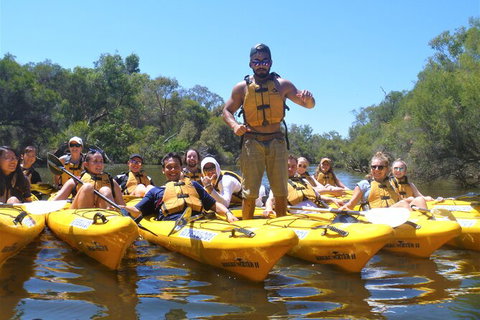 Kayak Tour On The Canning River - Attractions Melbourne 3