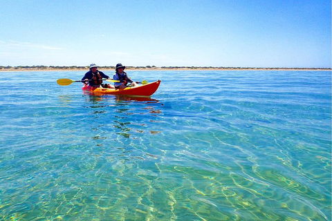 Turtle Tour - Ningaloo Reef Half Day Sea Kayak And Snorkel Tour - Attractions Melbourne 0