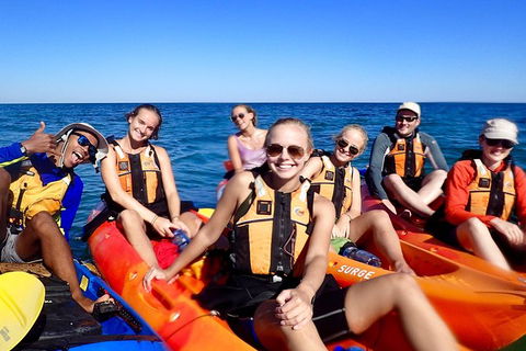 Turtle Tour - Ningaloo Reef Half Day Sea Kayak And Snorkel Tour - Attractions Melbourne 5