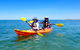 Turtle Tour - Ningaloo Reef Half Day Sea Kayak And Snorkel Tour - thumb 7