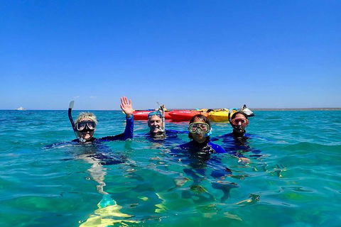 Turtle Tour - Ningaloo Reef Half Day Sea Kayak And Snorkel Tour - Attractions Melbourne 9