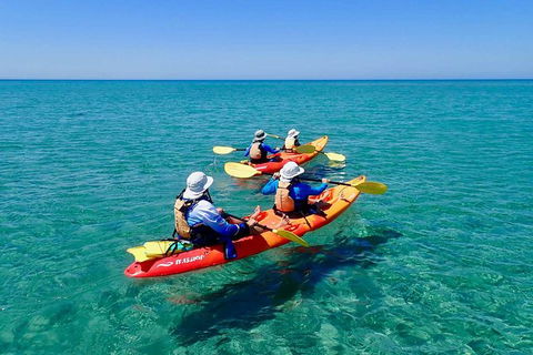Turtle Tour - Ningaloo Reef Half Day Sea Kayak And Snorkel Tour - Attractions Melbourne 6