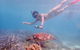 Turtle Tour - Ningaloo Reef Half Day Sea Kayak And Snorkel Tour - thumb 8