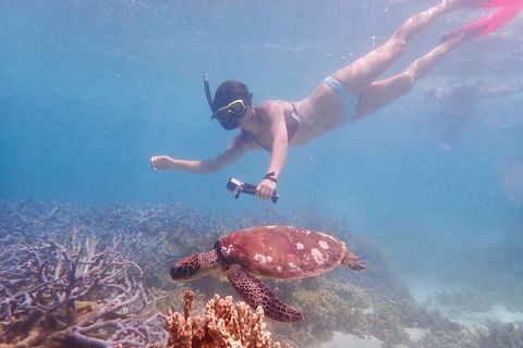 Turtle Tour - Ningaloo Reef Half Day Sea Kayak And Snorkel Tour - Attractions Melbourne 8