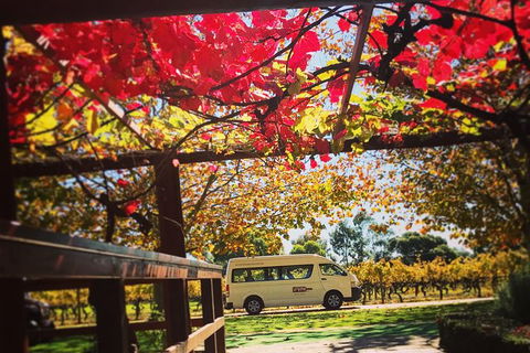 Ultimate Swan Valley Food And Wine Day Trip From Perth - Attractions Melbourne 12