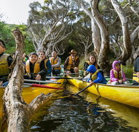 Margaret River Canoe Tour Including Lunch - Attractions Melbourne