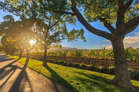 VIP Swan Valley Wine Tour - Premium Small Group Wine & Gourmet Experience - Attractions Melbourne 1