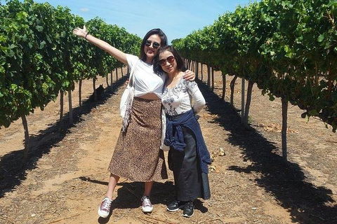 VIP Swan Valley Wine Tour - Premium Small Group Wine & Gourmet Experience - Attractions Melbourne 3
