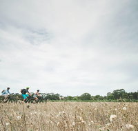 Electric Bike Winery and Brewery Tour - Attractions Melbourne