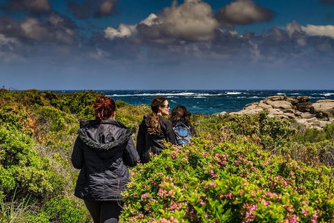 Guided Walks On The Cape To Cape - Wilyabrup Cliffs - Attractions Melbourne 0