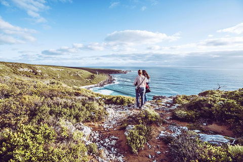 Guided Walks On The Cape To Cape - Wilyabrup Cliffs - Attractions Melbourne 1