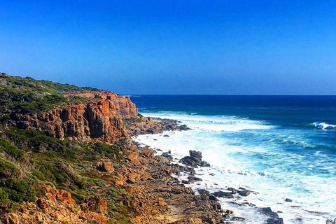 Guided Walks On The Cape To Cape - Wilyabrup Cliffs - Attractions Melbourne 2