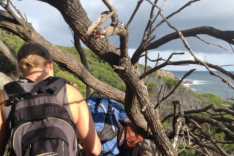 Guided Walks On The Cape To Cape - Wilyabrup Cliffs - Attractions Melbourne 6