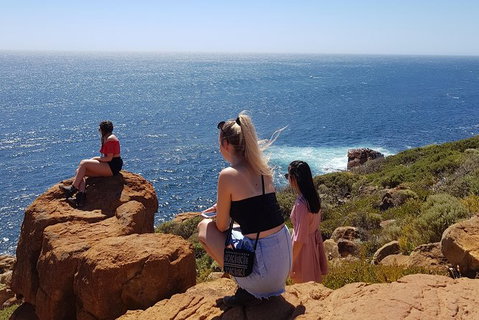 7 Hour Full Day Tour: Morning Tea, Chocolate, Olives, 3 Wineries & Lunch - Attractions Melbourne 11