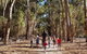 7 Hour Full Day Tour: Morning Tea, Chocolate, Olives, 3 Wineries & Lunch - thumb 21