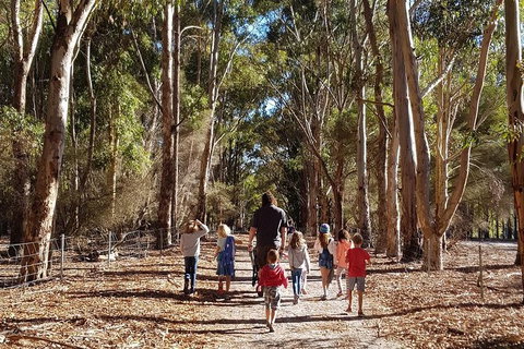 7 Hour Full Day Tour: Morning Tea, Chocolate, Olives, 3 Wineries & Lunch - Attractions Melbourne 21