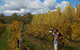 7 Hour Full Day Tour: Morning Tea, Chocolate, Olives, 3 Wineries & Lunch - thumb 20