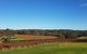7 Hour Full Day Tour: Morning Tea, Chocolate, Olives, 3 Wineries & Lunch - thumb 7