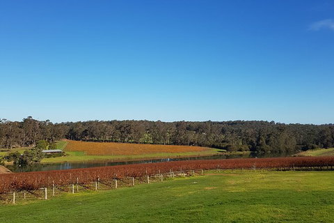 7 Hour Full Day Tour: Morning Tea, Chocolate, Olives, 3 Wineries & Lunch - Attractions Melbourne 7