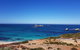 7 Hour Full Day Tour: Morning Tea, Chocolate, Olives, 3 Wineries & Lunch - thumb 10
