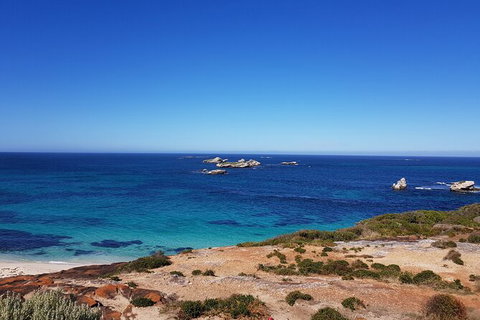 7 Hour Full Day Tour: Morning Tea, Chocolate, Olives, 3 Wineries & Lunch - Attractions Melbourne 10