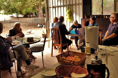 7 Hour Full Day Tour: Morning Tea, Chocolate, Olives, 3 Wineries & Lunch - Attractions Melbourne 13
