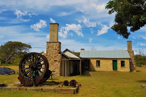 7 Hour Full Day Tour: Morning Tea, Chocolate, Olives, 3 Wineries & Lunch - Attractions Melbourne 4