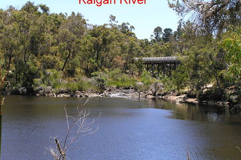 Kalgan Queen Scenic Cruises A Four Hour Sheltered Water Wildlife Tour Daily Fun. - Attractions Melbourne 3