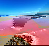 Pink Lake Aerial Flyover from Geraldton - Attractions Melbourne