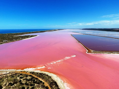 Pink Lake Aerial Flyover From Geraldton - Attractions Melbourne 0