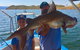 Lake Argyle Fishing Charter - thumb 3