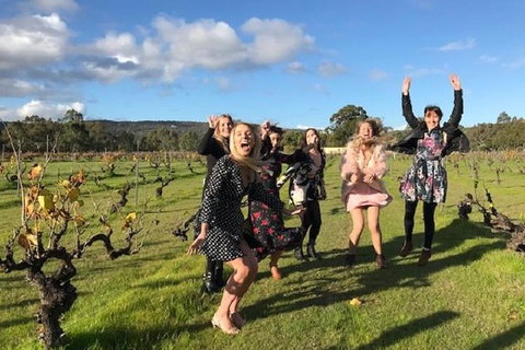 VW Kombi Food, Wine And More Tour (bring The Kids!) - Attractions Melbourne 3