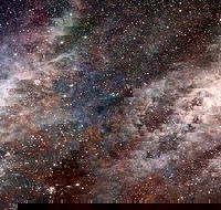 Overnight Astronomy Experience Ningaloo - Yardie Homestead - Attractions Melbourne