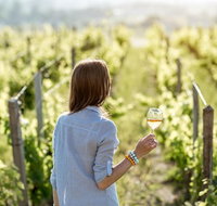 5 Hours Wineries Coffee Tasting Forest  Lunch at the Berry Farm - Attractions Melbourne