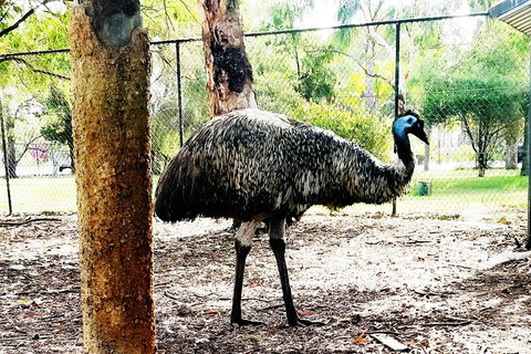 Swan Valley Tour - Attractions Melbourne 9