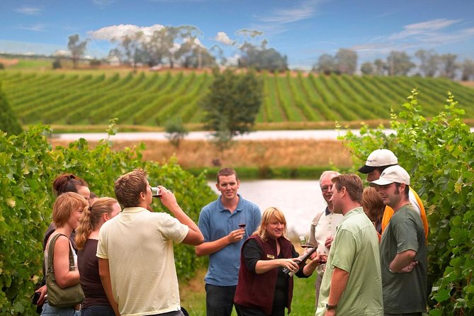 Yarra Valley Wine and Winery Tour from Melbourne Melbourne