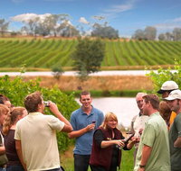 Yarra Valley Wine and Winery Tour from Melbourne - Attractions Melbourne