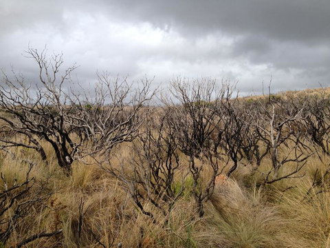 Private Tour: Great Ocean Road From Melbourne - Attractions Melbourne 5